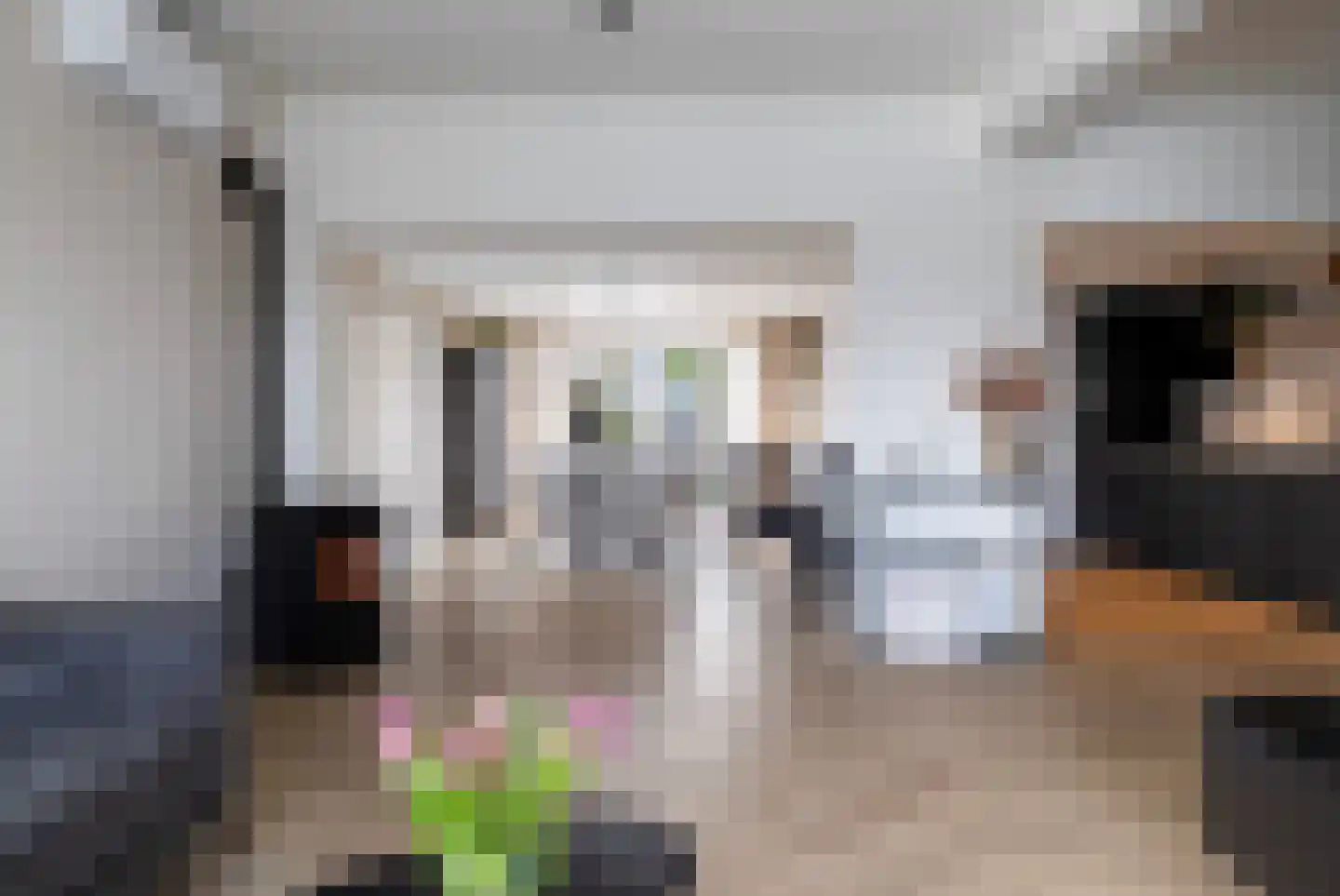 Poolcirkel 12 Klazienaveen thumbnail 8
