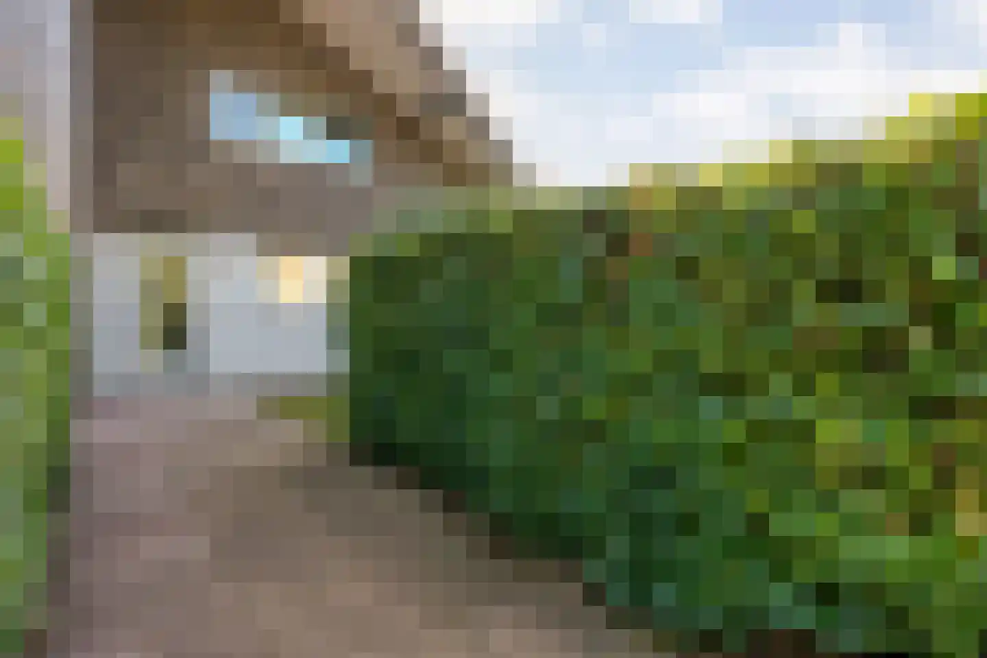 Poolmanserf 1 Dedemsvaart thumbnail 10