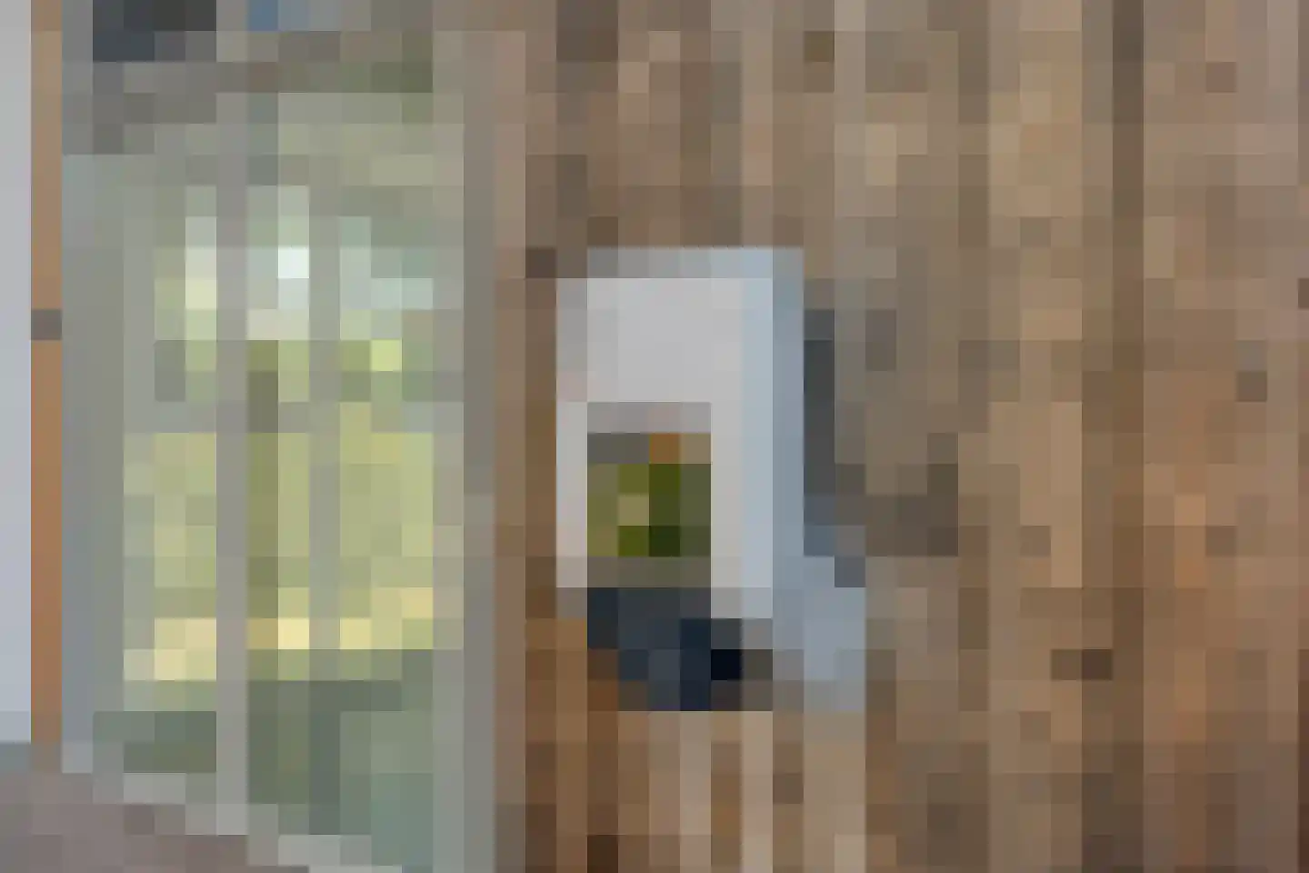 Poolmanserf 1 Dedemsvaart thumbnail 11