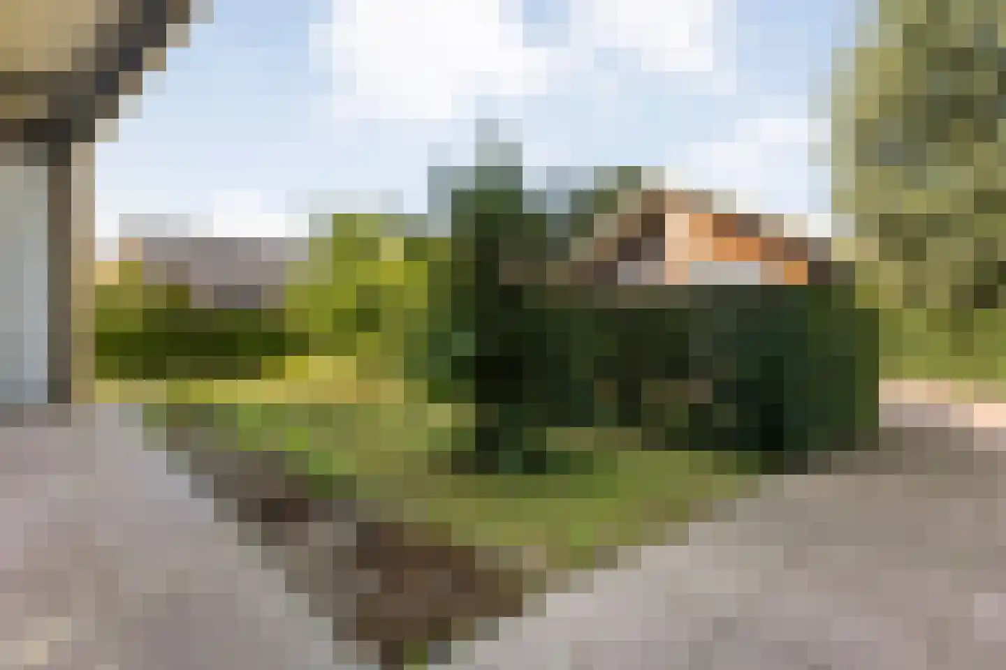 Poolmanserf 1 Dedemsvaart thumbnail 12