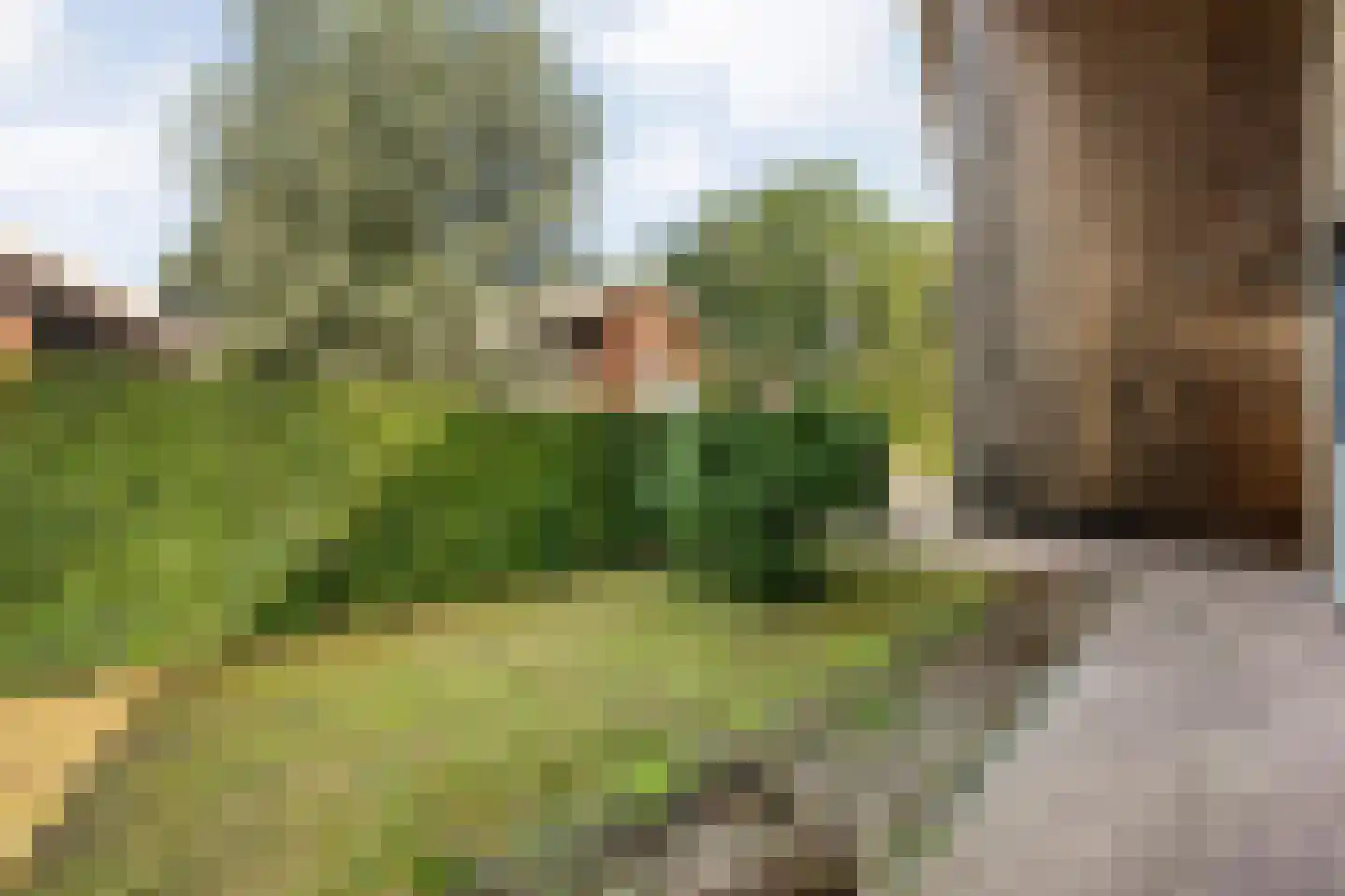 Poolmanserf 1 Dedemsvaart thumbnail 13