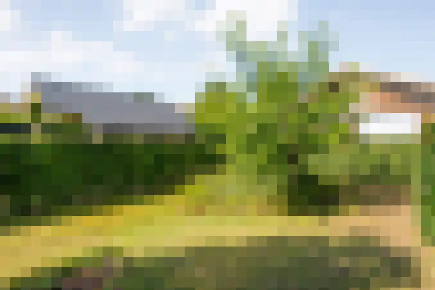 Poolmanserf 1 Dedemsvaart thumbnail 14
