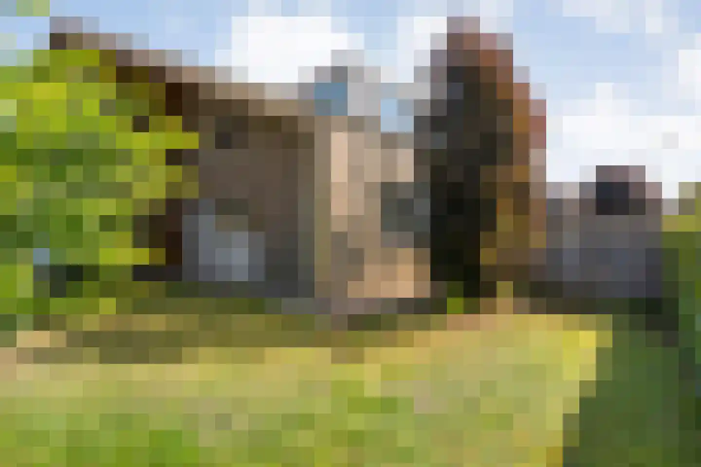 Poolmanserf 1 Dedemsvaart thumbnail 15