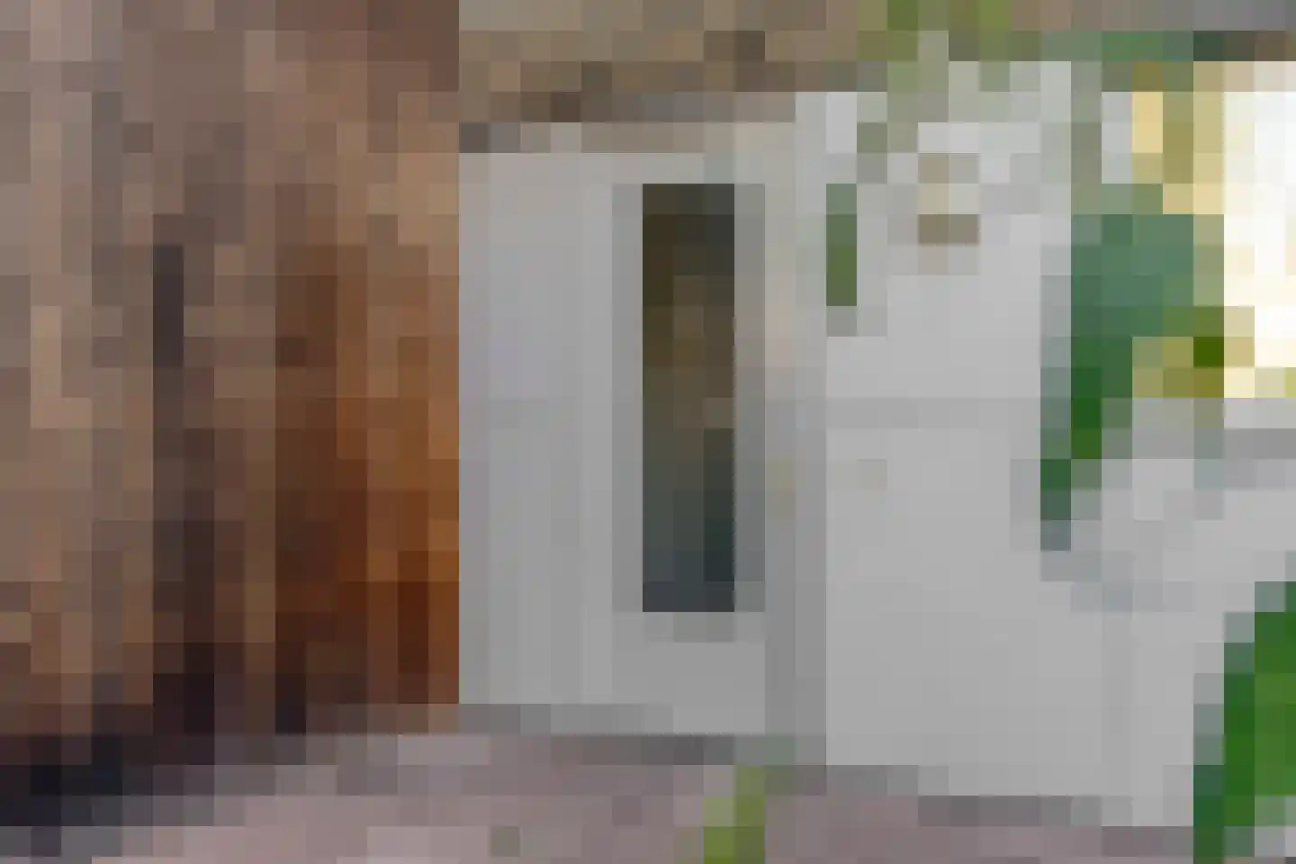 Poolmanserf 1 Dedemsvaart thumbnail 16