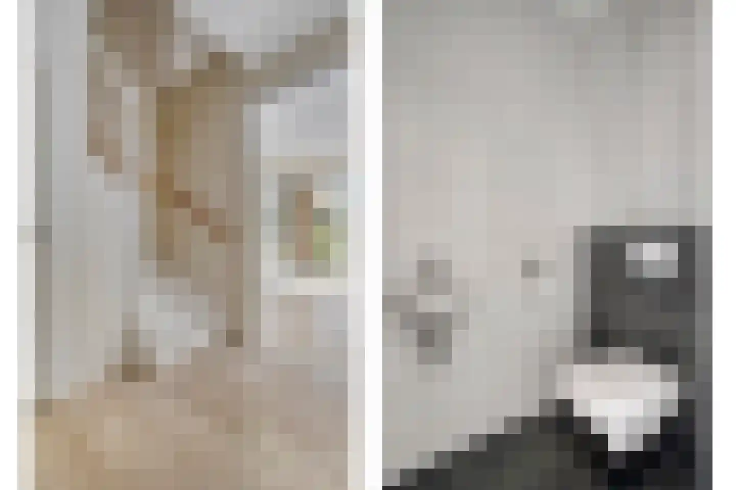 Poolmanserf 1 Dedemsvaart thumbnail 18