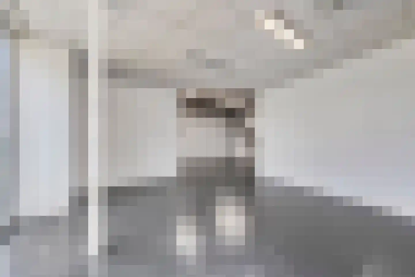 Poolmanserf 1 Dedemsvaart thumbnail 27