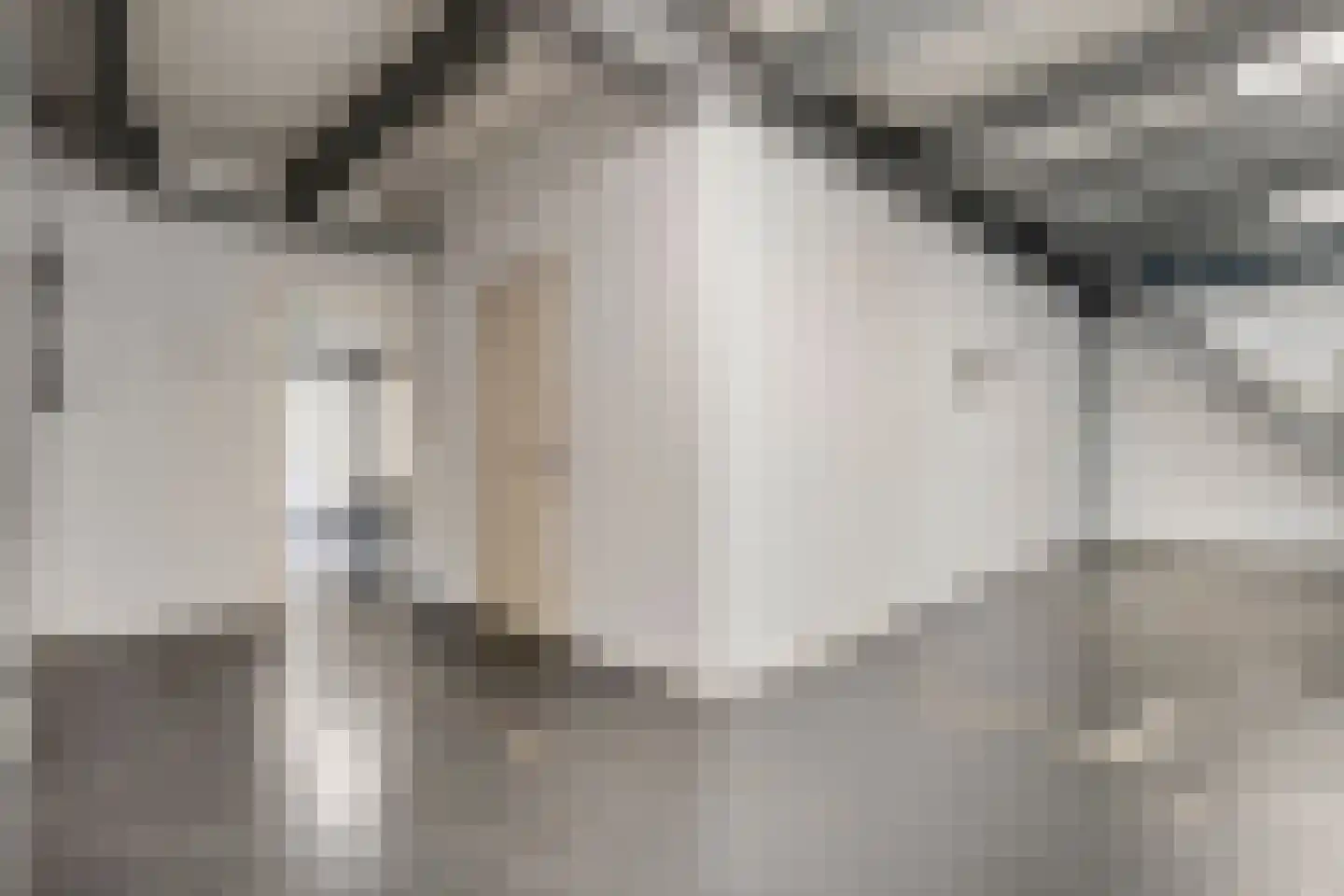 Poolmanserf 1 Dedemsvaart thumbnail 31