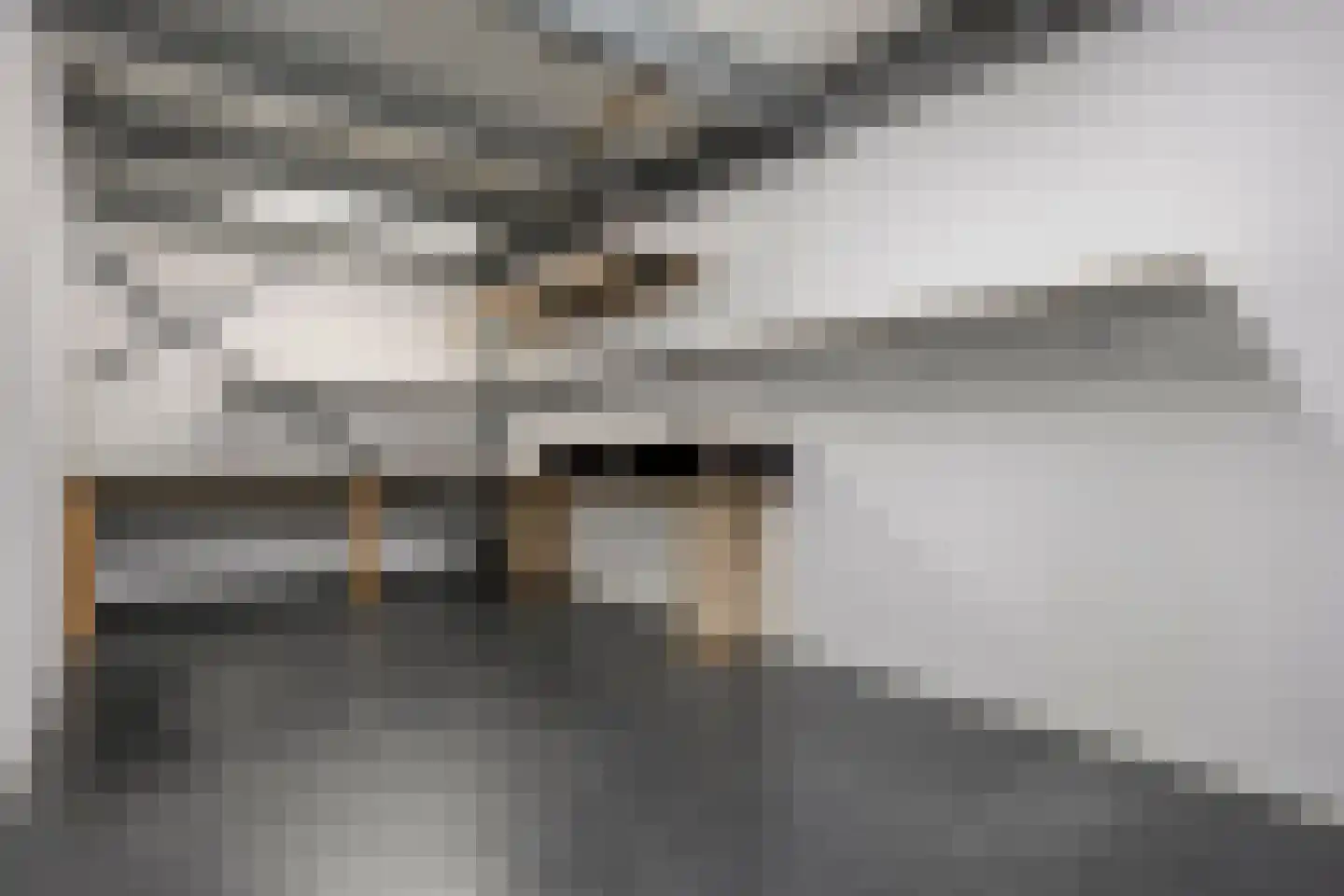 Poolmanserf 1 Dedemsvaart thumbnail 33