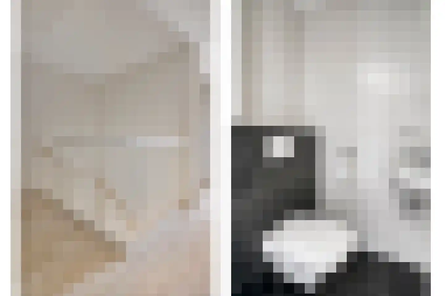 Poolmanserf 1 Dedemsvaart thumbnail 38