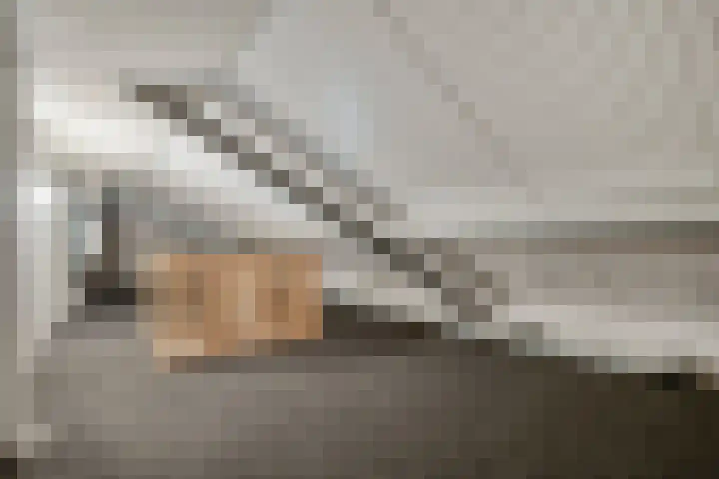 Poolmanserf 1 Dedemsvaart thumbnail 53