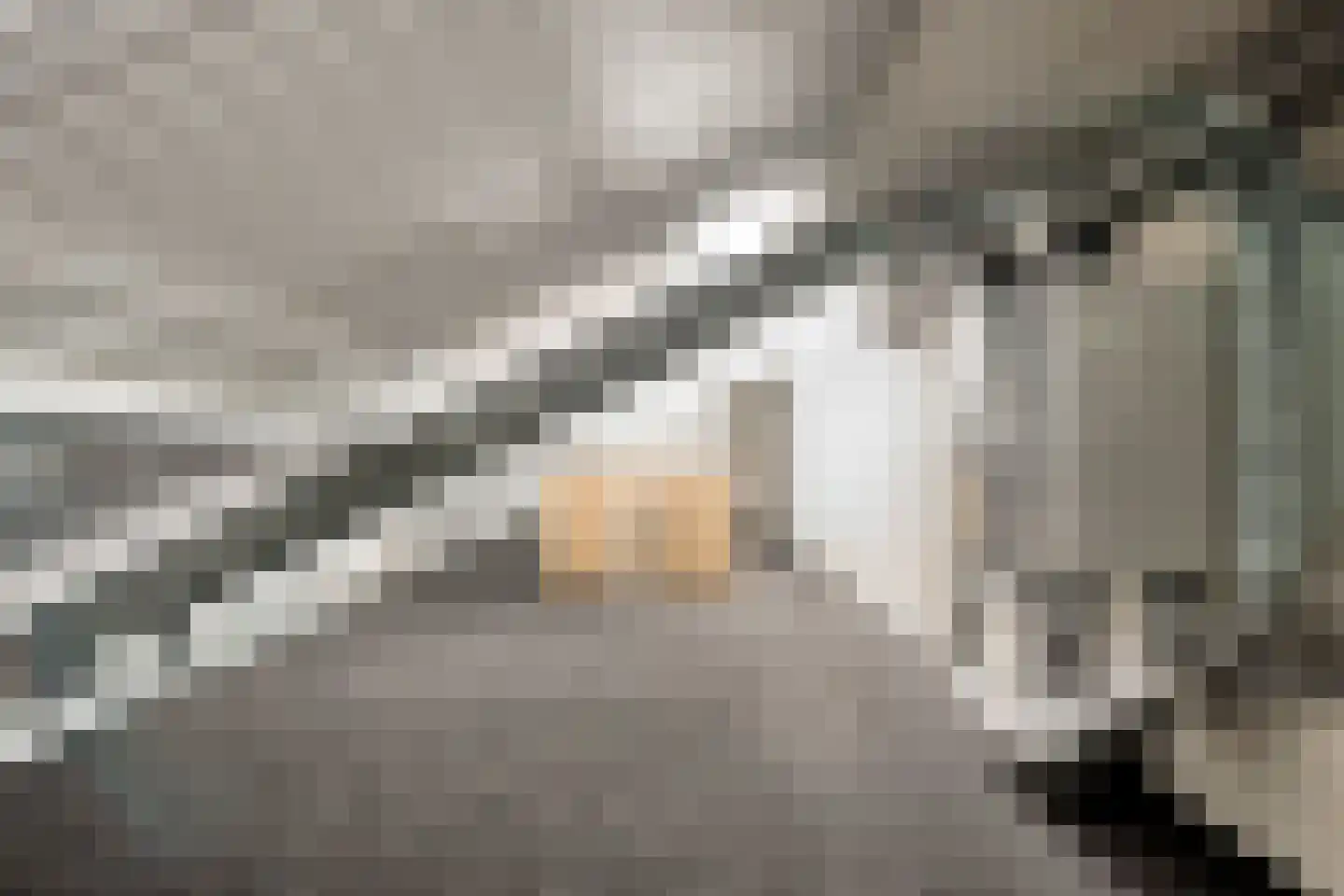 Poolmanserf 1 Dedemsvaart thumbnail 54