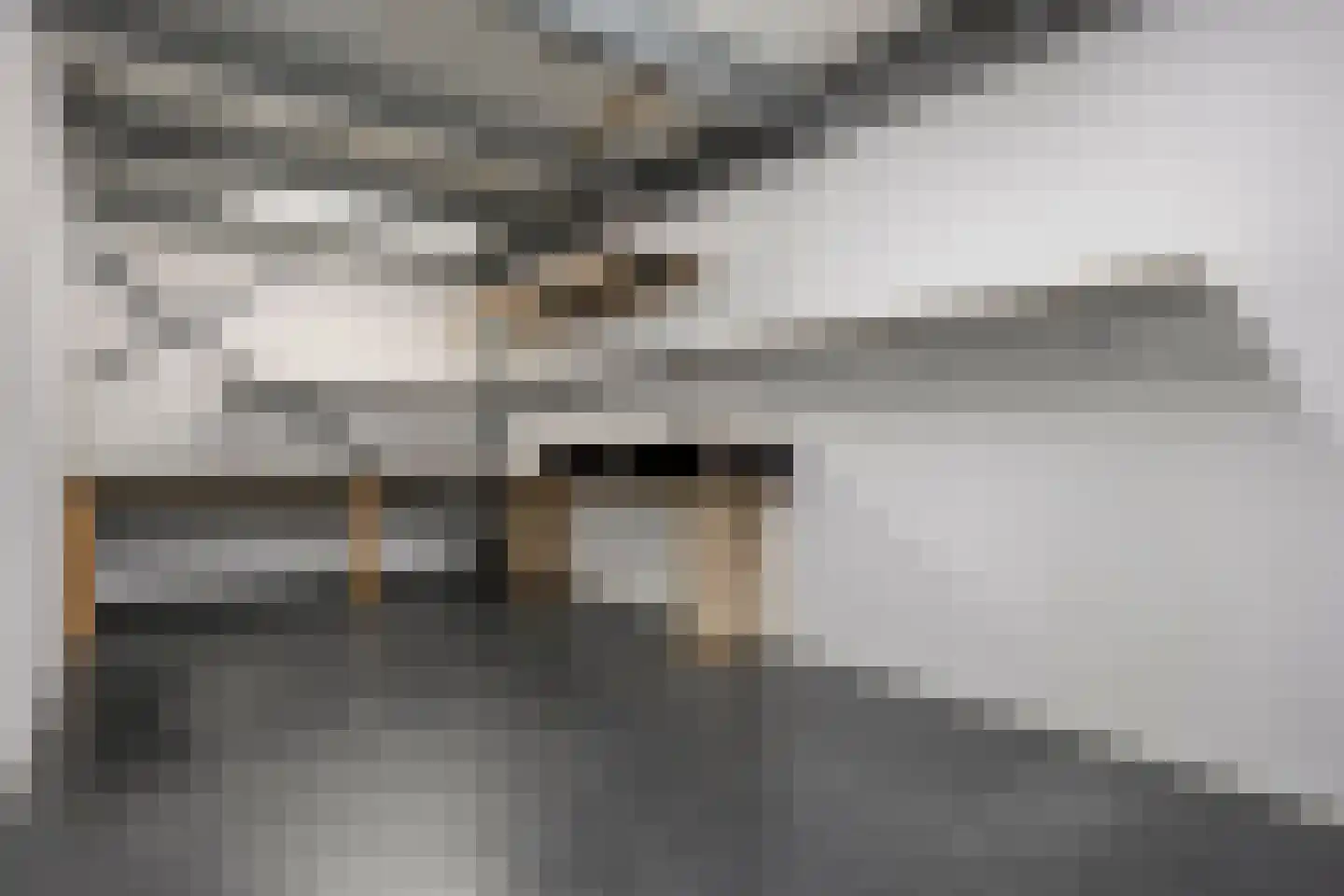 Poolmanserf 1 Dedemsvaart thumbnail 60