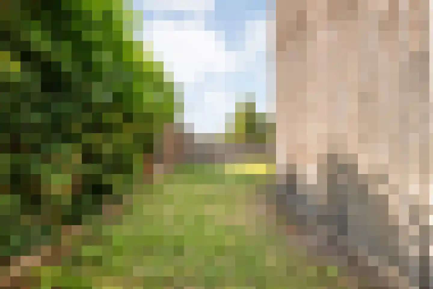 Poolmanserf 1 Dedemsvaart thumbnail 64