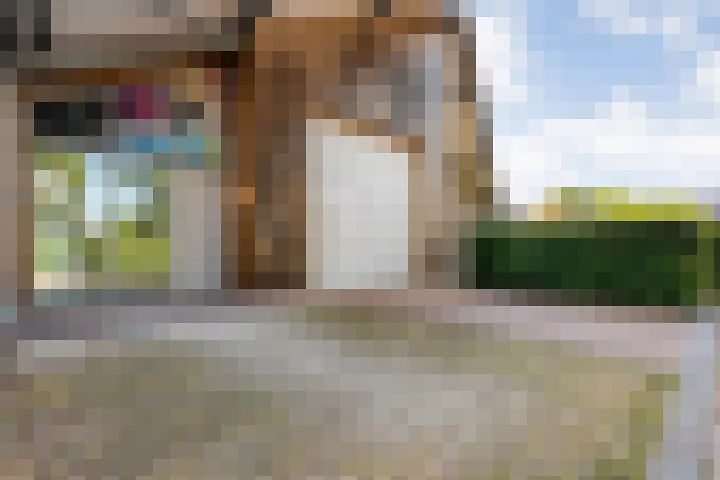 Poolmanserf 1 Dedemsvaart thumbnail 8