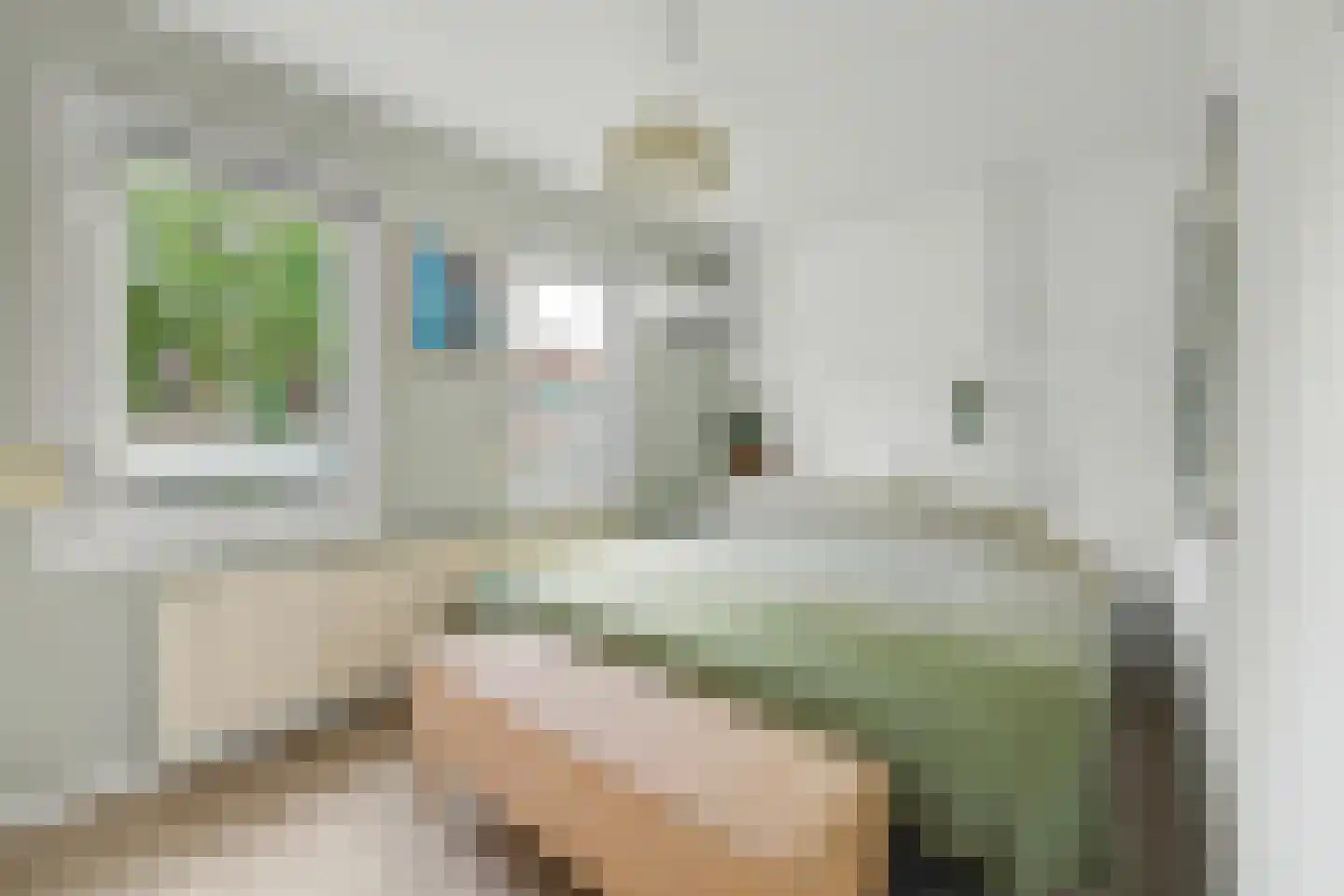 Poolmansweg 105 Enschede thumbnail 21