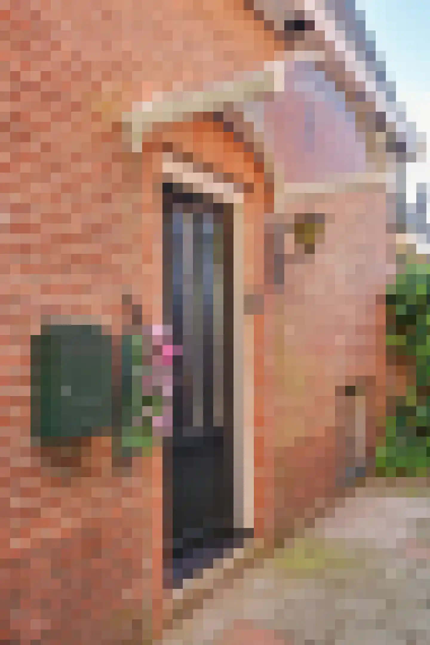 Poolmansweg 105 Enschede thumbnail 5