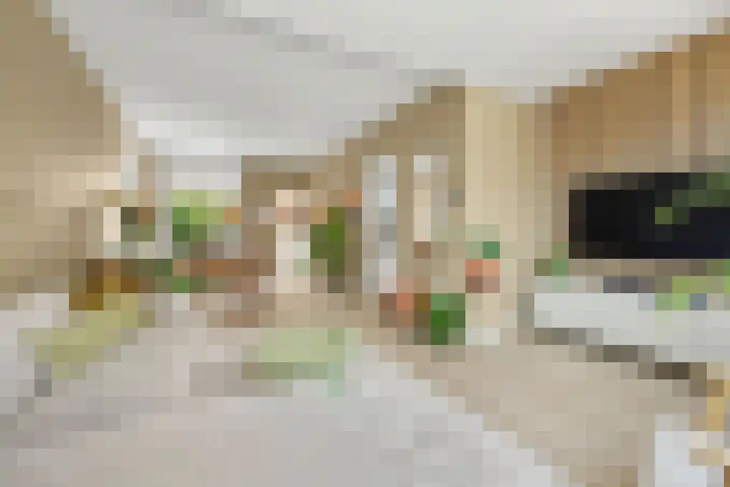 Poolmansweg 105 Enschede thumbnail 9