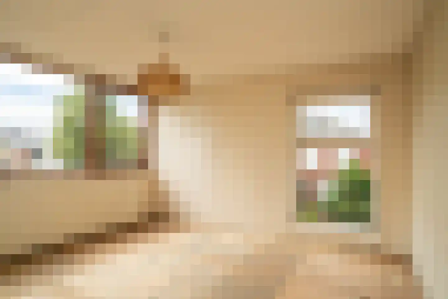 Poolmansweg 110 Enschede thumbnail 19