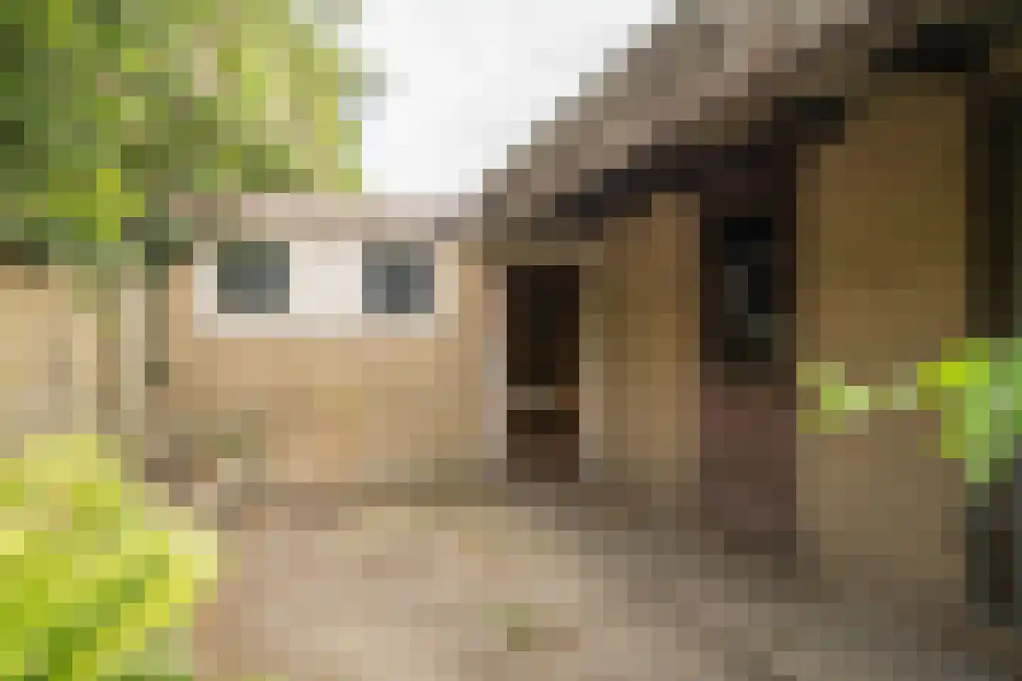 Poolmansweg 110 Enschede thumbnail 25
