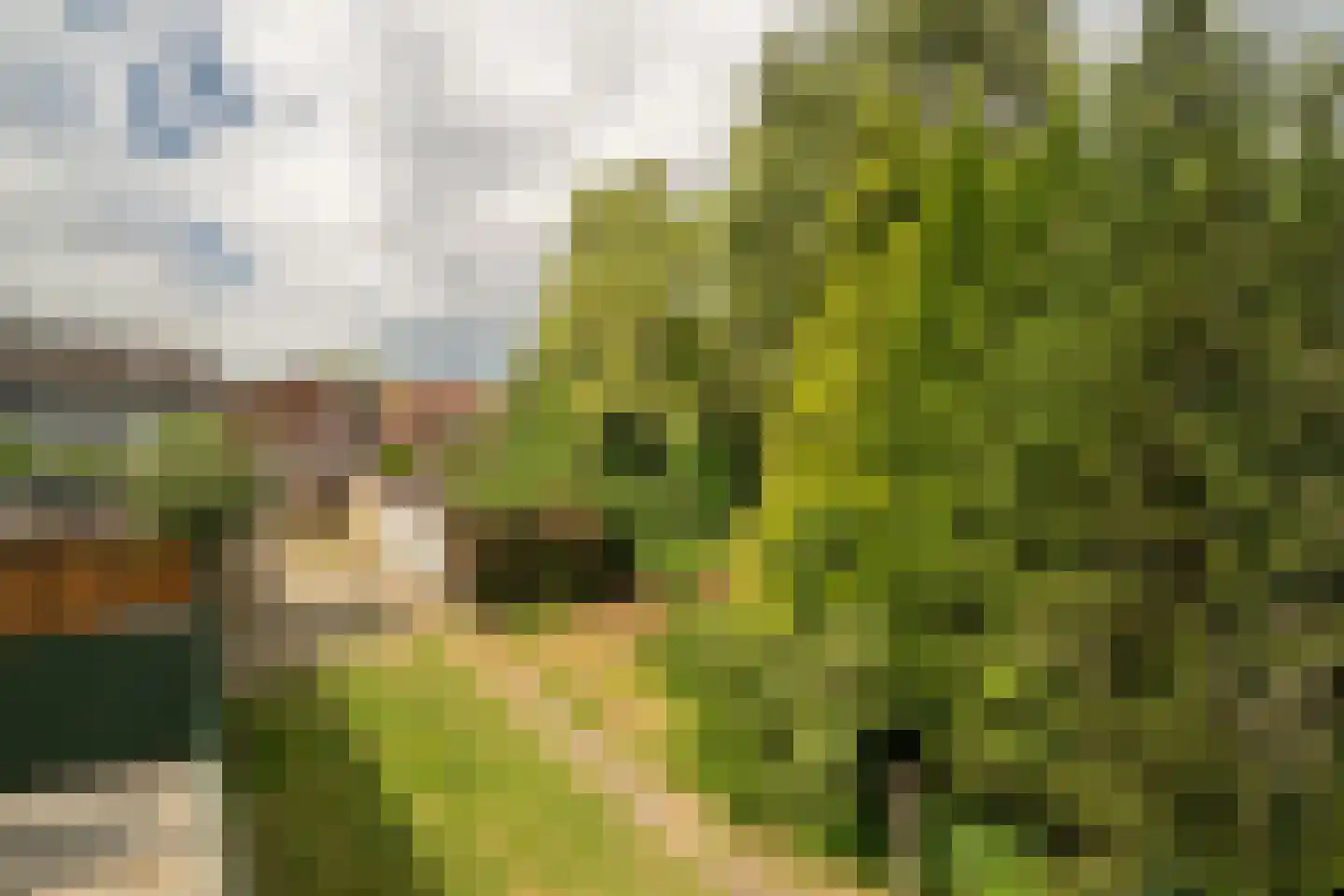Poolmansweg 110 Enschede thumbnail 4