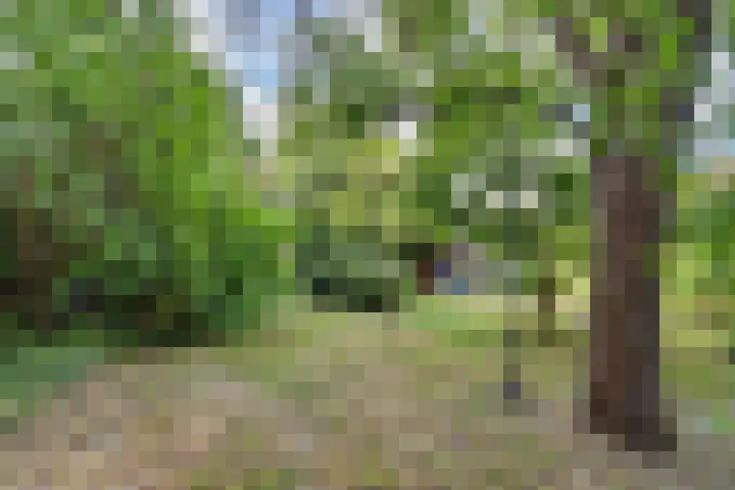 Poolmansweg 40 Enschede thumbnail 29