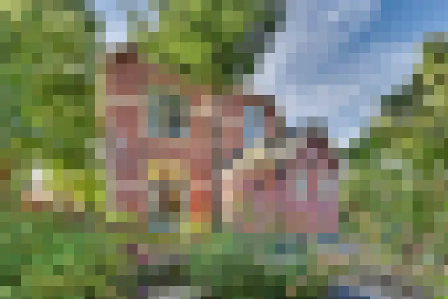 Poolmansweg 40 Enschede thumbnail 4