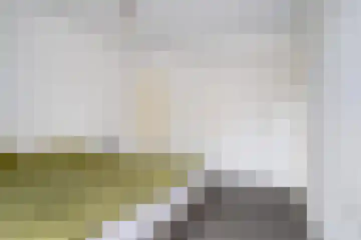 Poolsestraat 11 Hooge Zwaluwe thumbnail 11