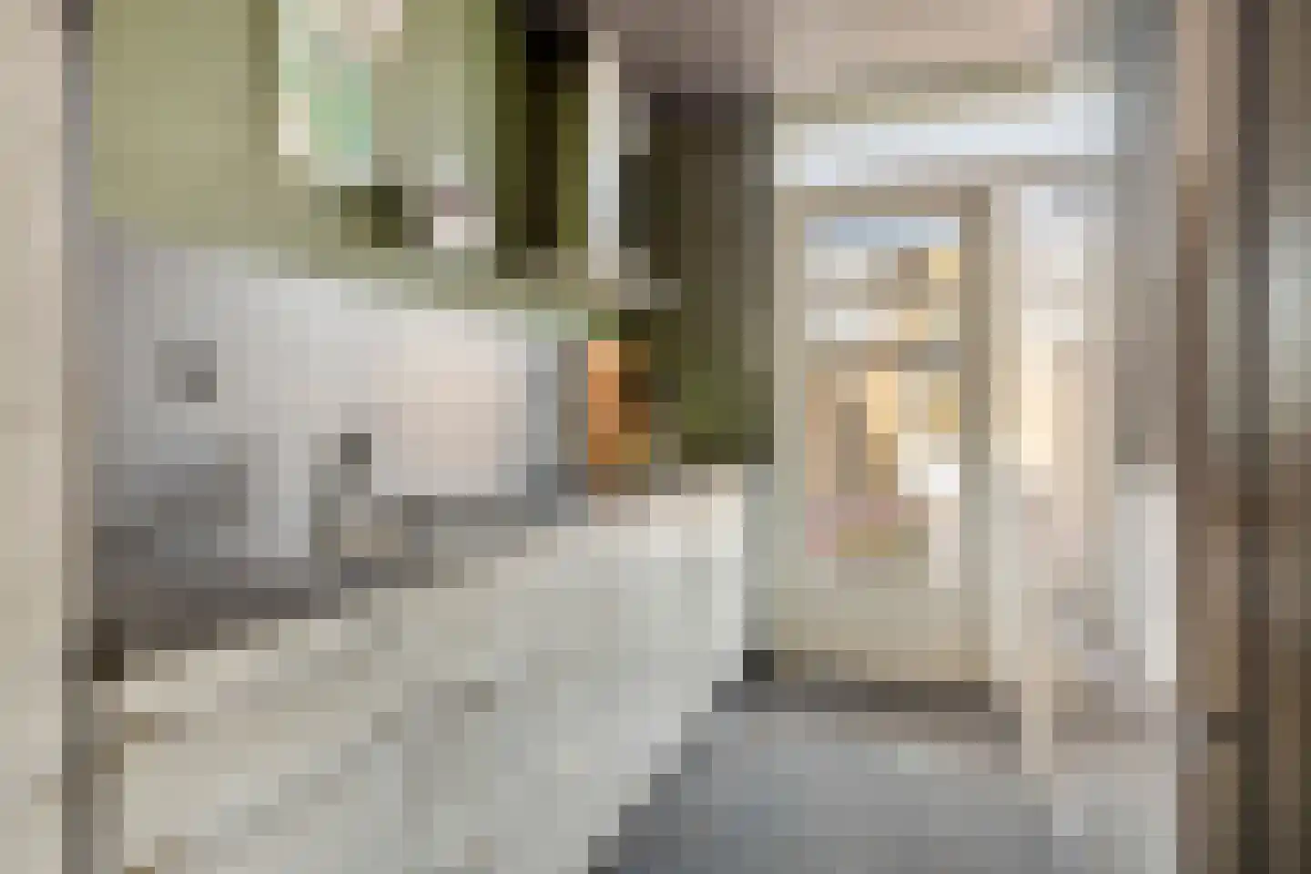 Poolsestraat 30 Hooge Zwaluwe thumbnail 13