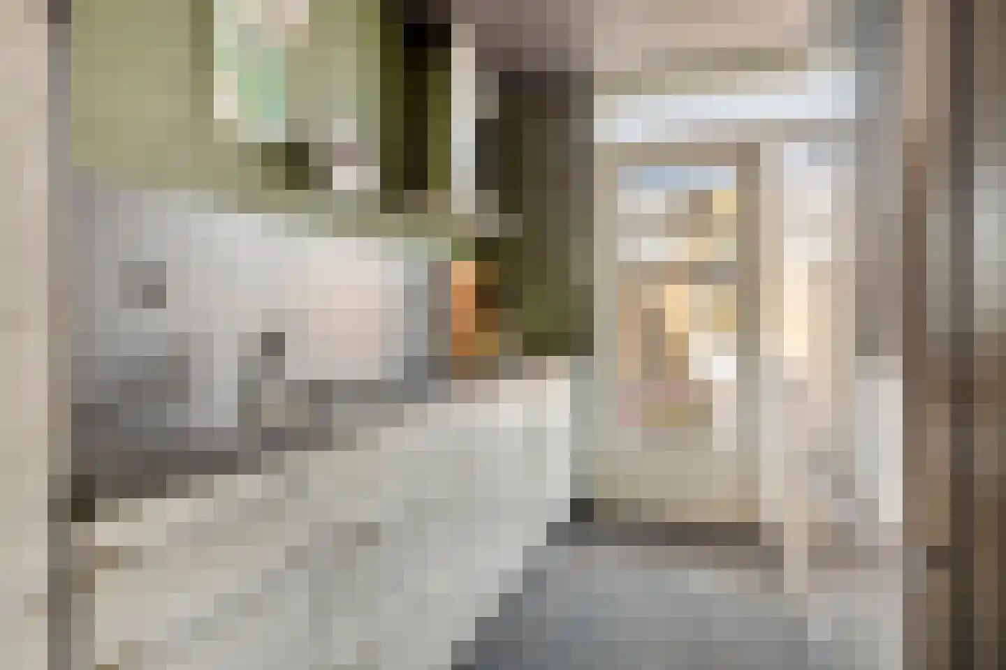 Poolsestraat 30 Hooge Zwaluwe thumbnail 13