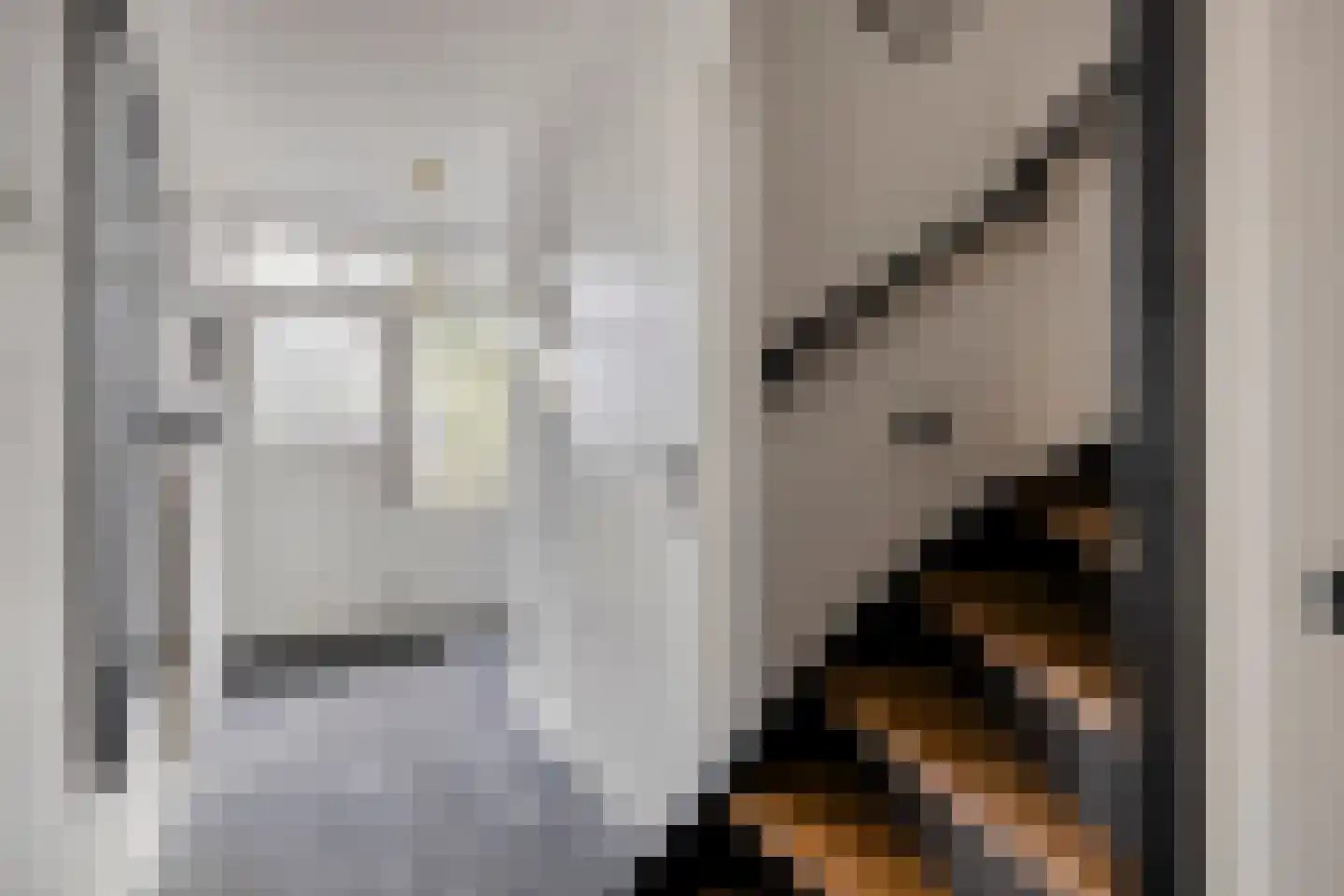Poolsestraat 30 Hooge Zwaluwe thumbnail 16