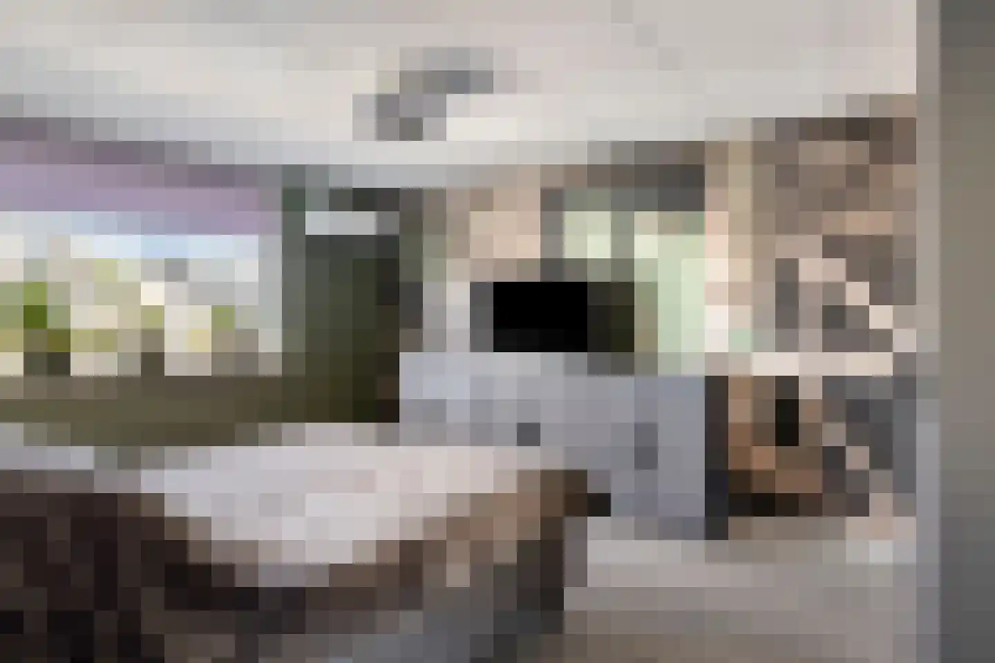 Poolsestraat 30 Hooge Zwaluwe thumbnail 20