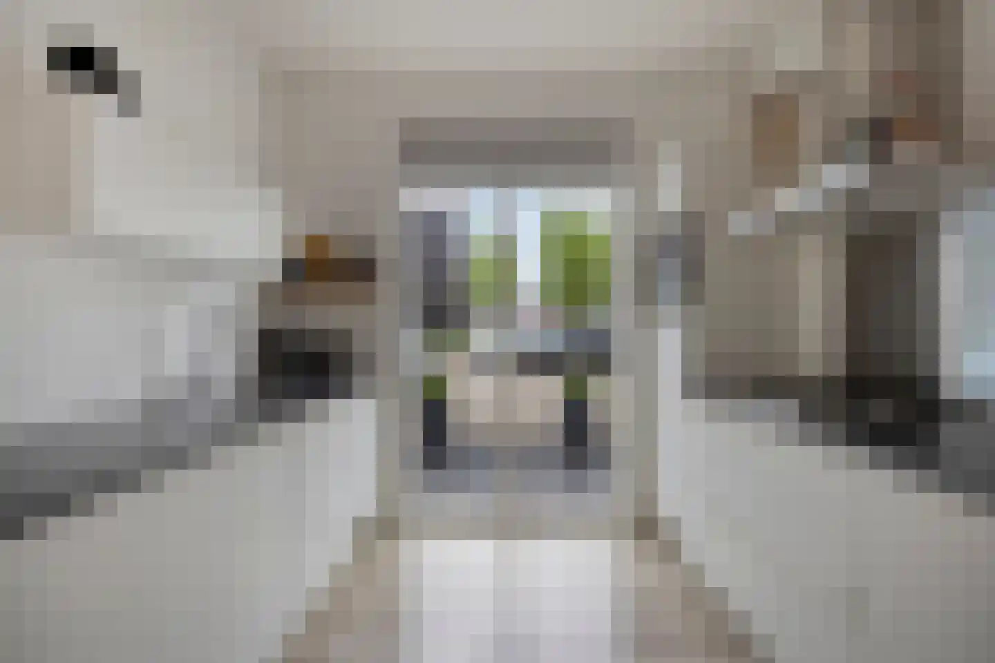 Poolsestraat 5 Alphen thumbnail 10