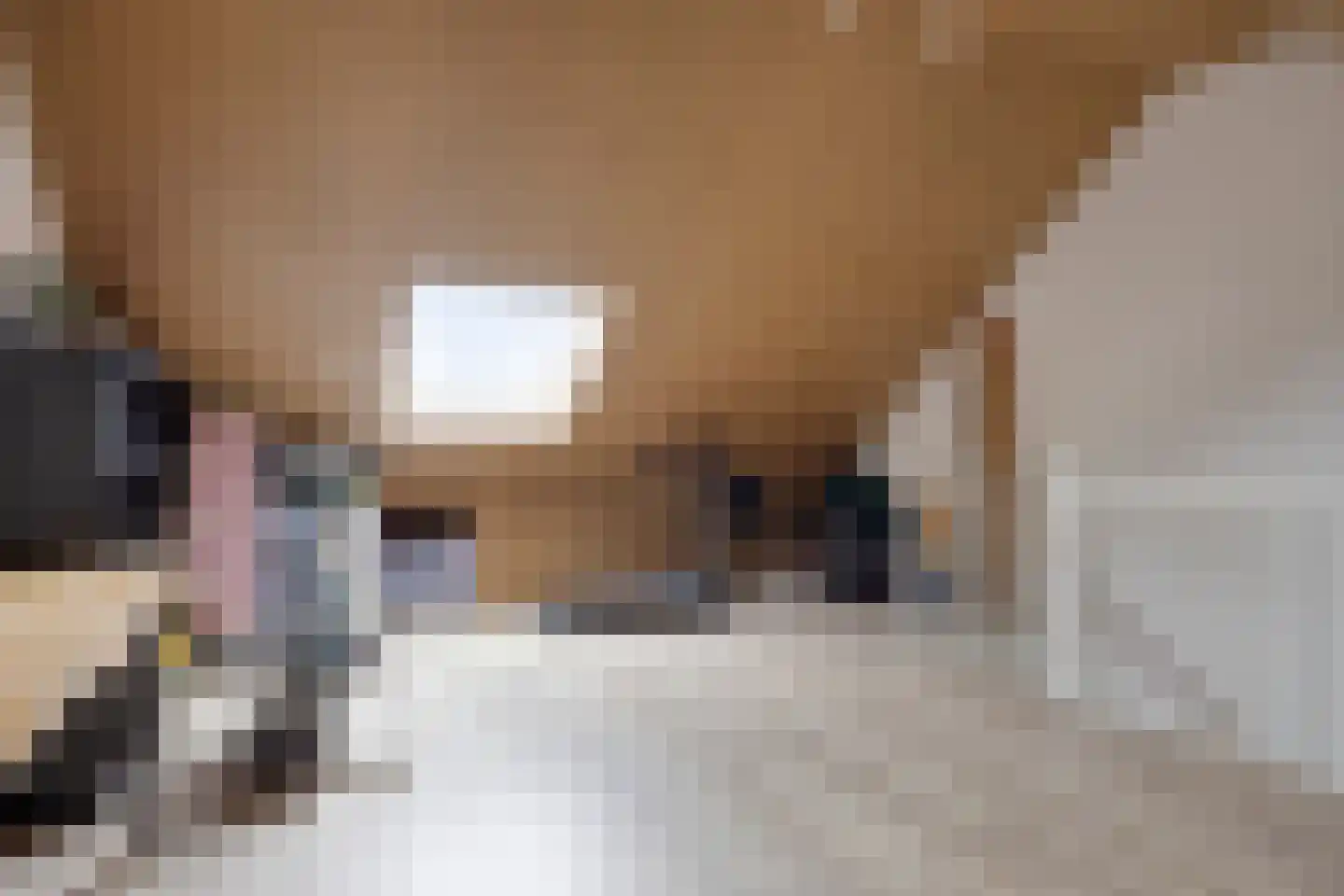 Poolsestraat 5 Alphen thumbnail 31
