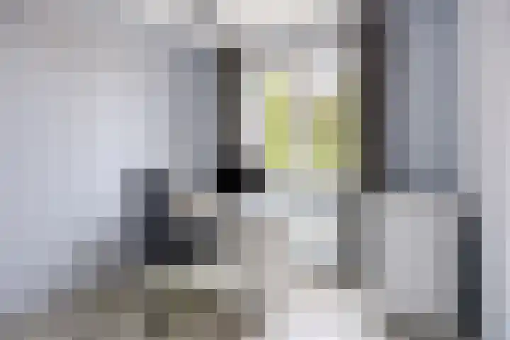 Poolsestraat 7 Alphen thumbnail 17