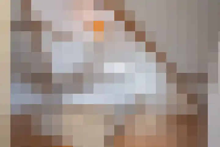 Poolseweg 113 Breda thumbnail 32