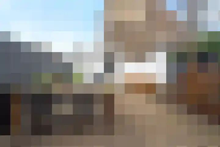 Poolseweg 113 Breda thumbnail 39