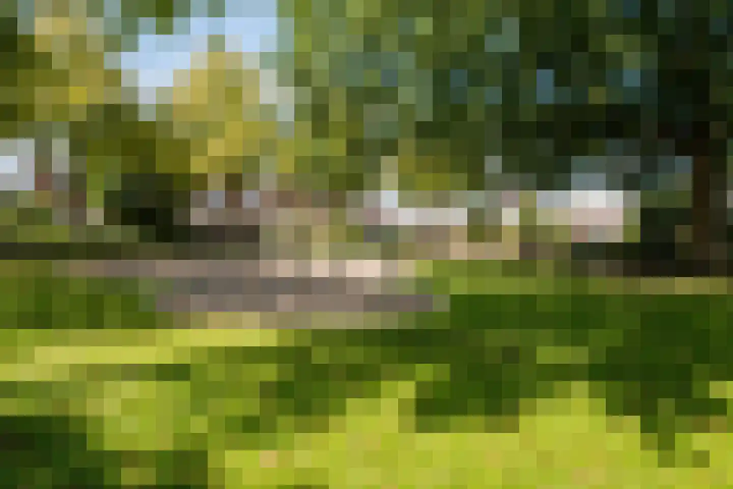 Poolseweg 131 Breda thumbnail 49