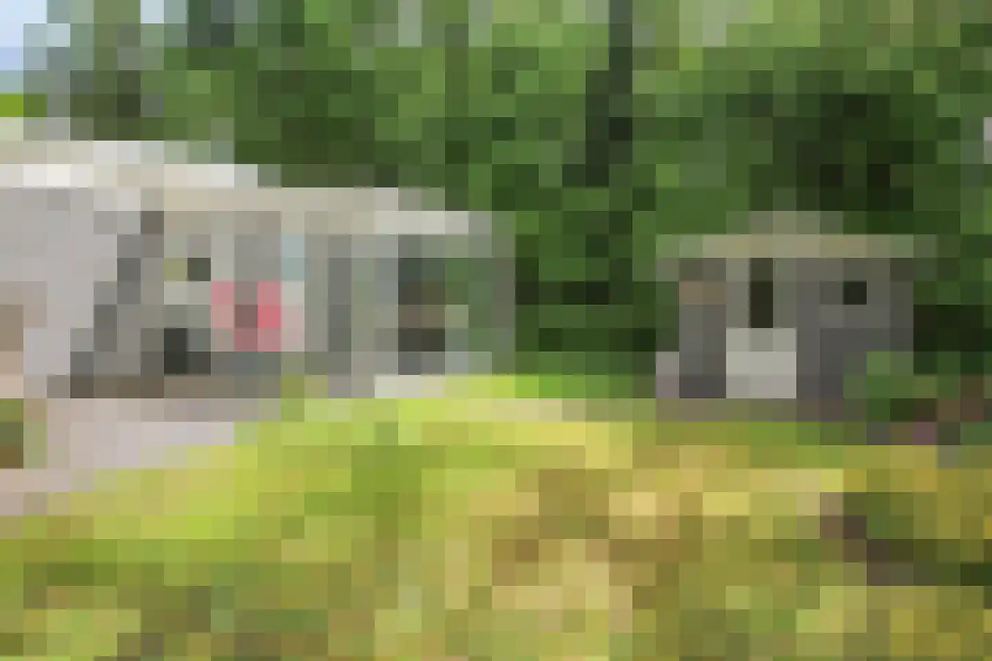 Poolseweg 17 3 Putten thumbnail 30