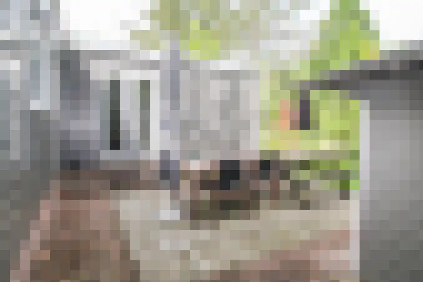 Poolseweg 17 3 Putten thumbnail 43