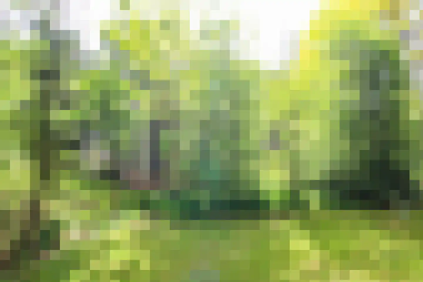 Poolseweg 17 3 Putten thumbnail 45