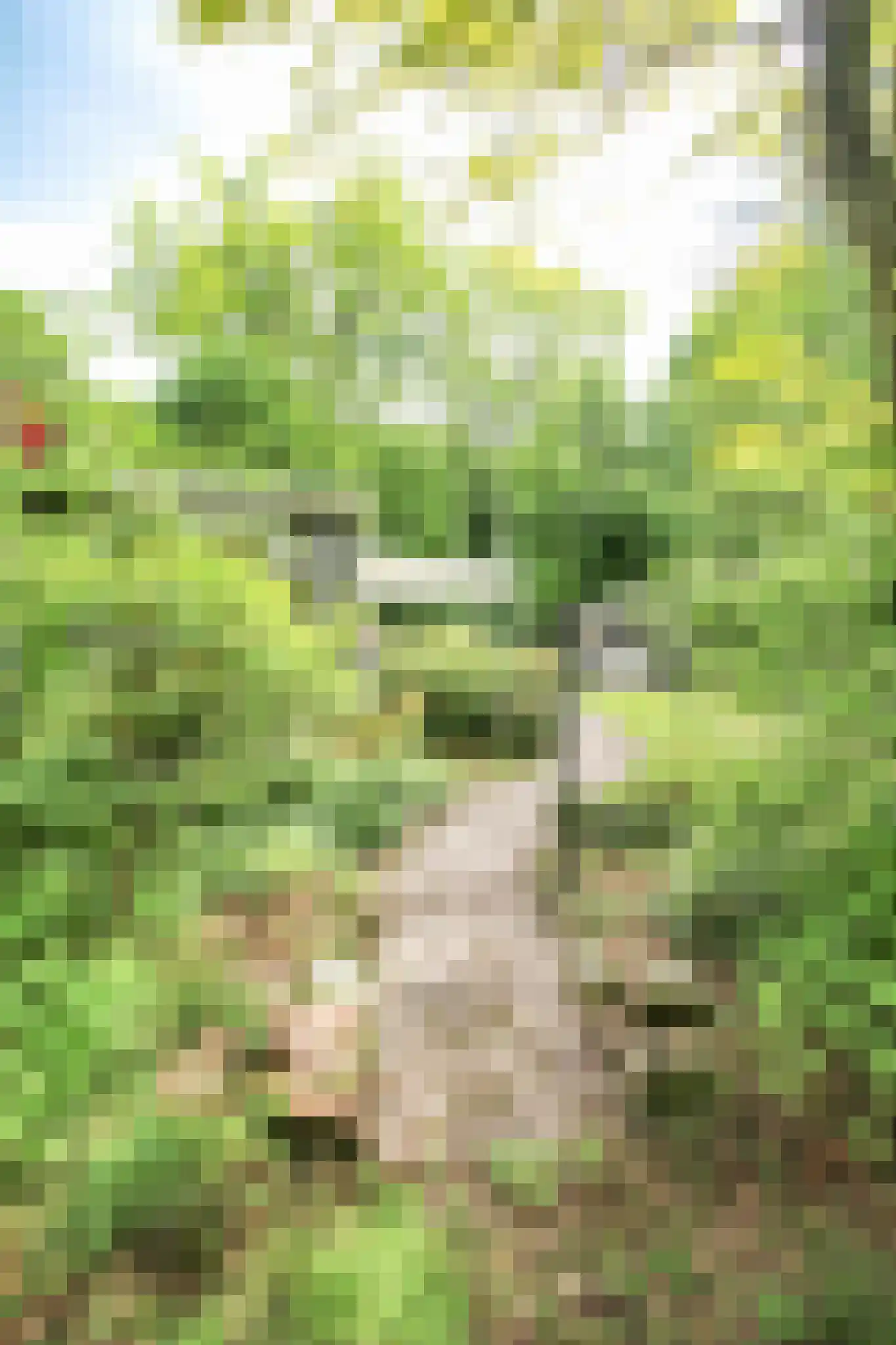 Poolseweg 17 3 Putten thumbnail 46