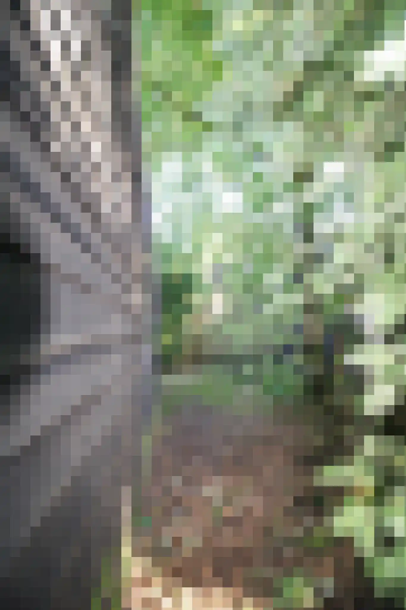 Poolseweg 17 41 Putten thumbnail 23