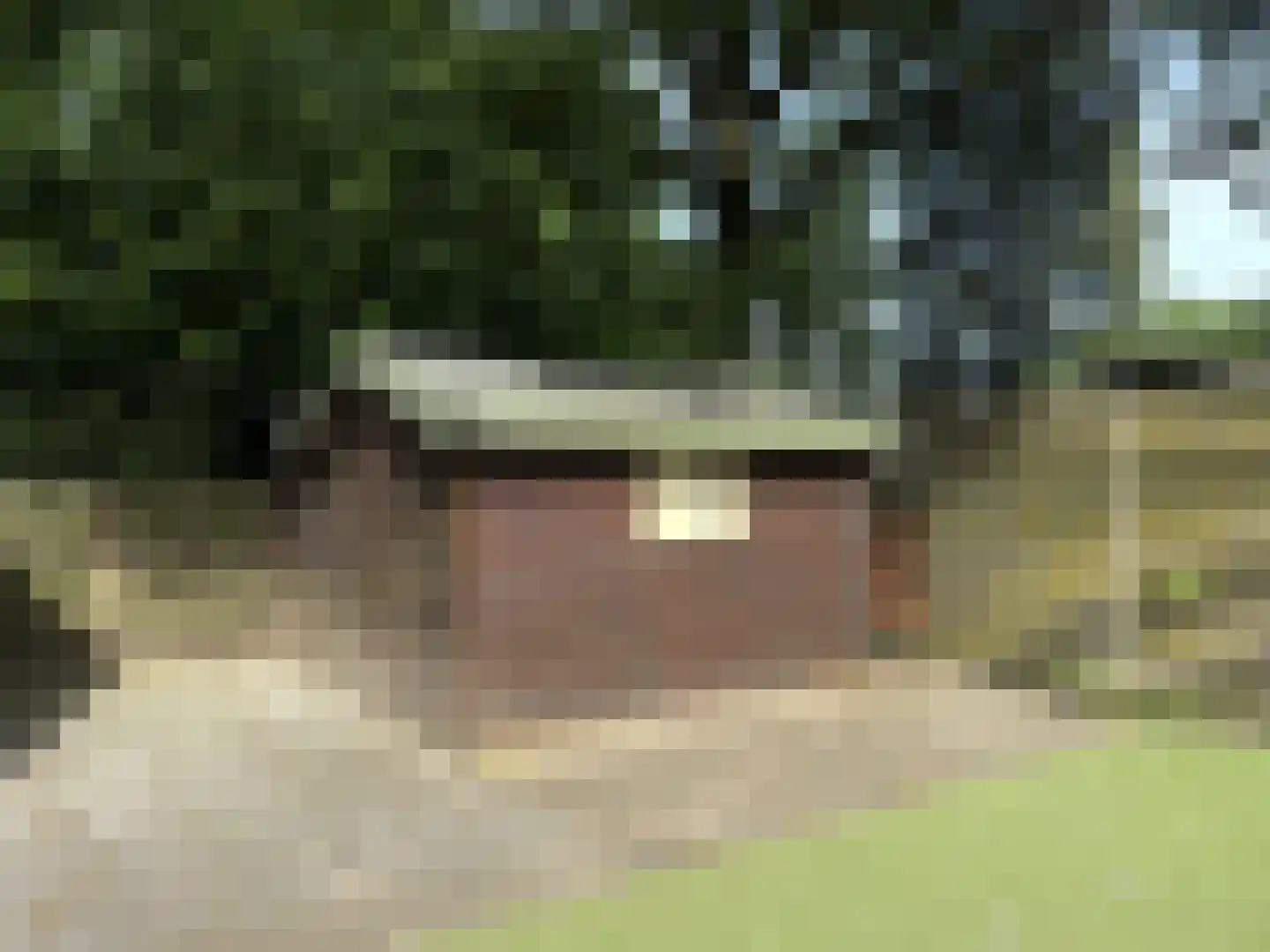 Poolseweg 27 113 Putten thumbnail 15