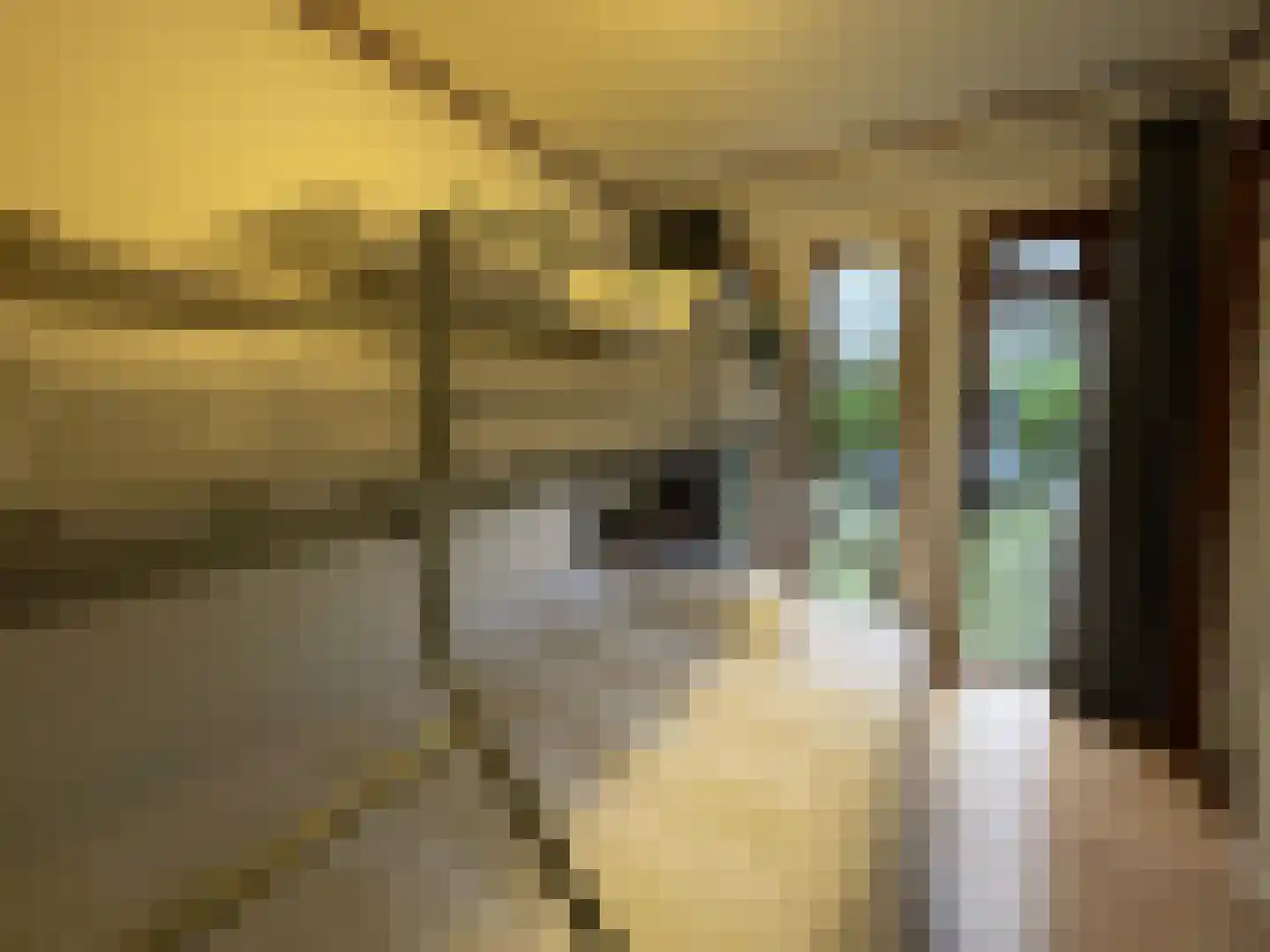 Poolseweg 27 114 Putten thumbnail 12
