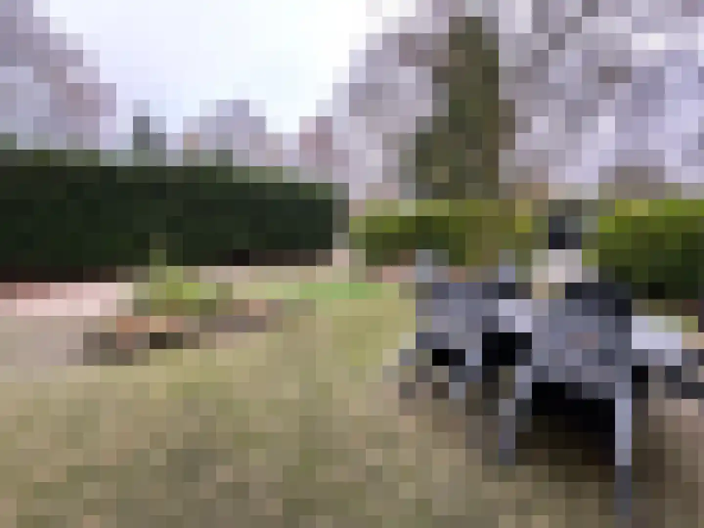 Poolseweg 27 114 Putten thumbnail 14