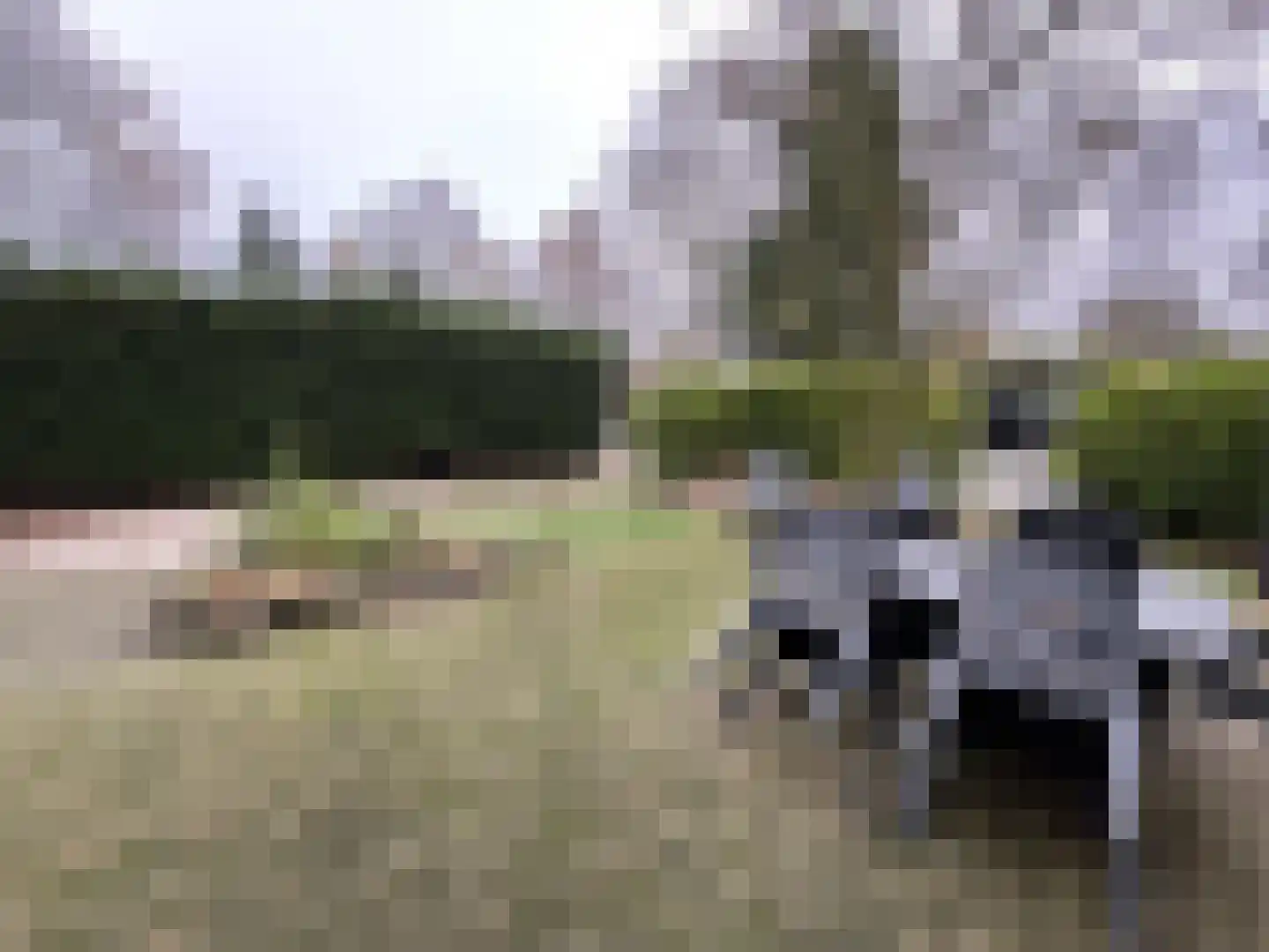 Poolseweg 27 114 Putten thumbnail 14