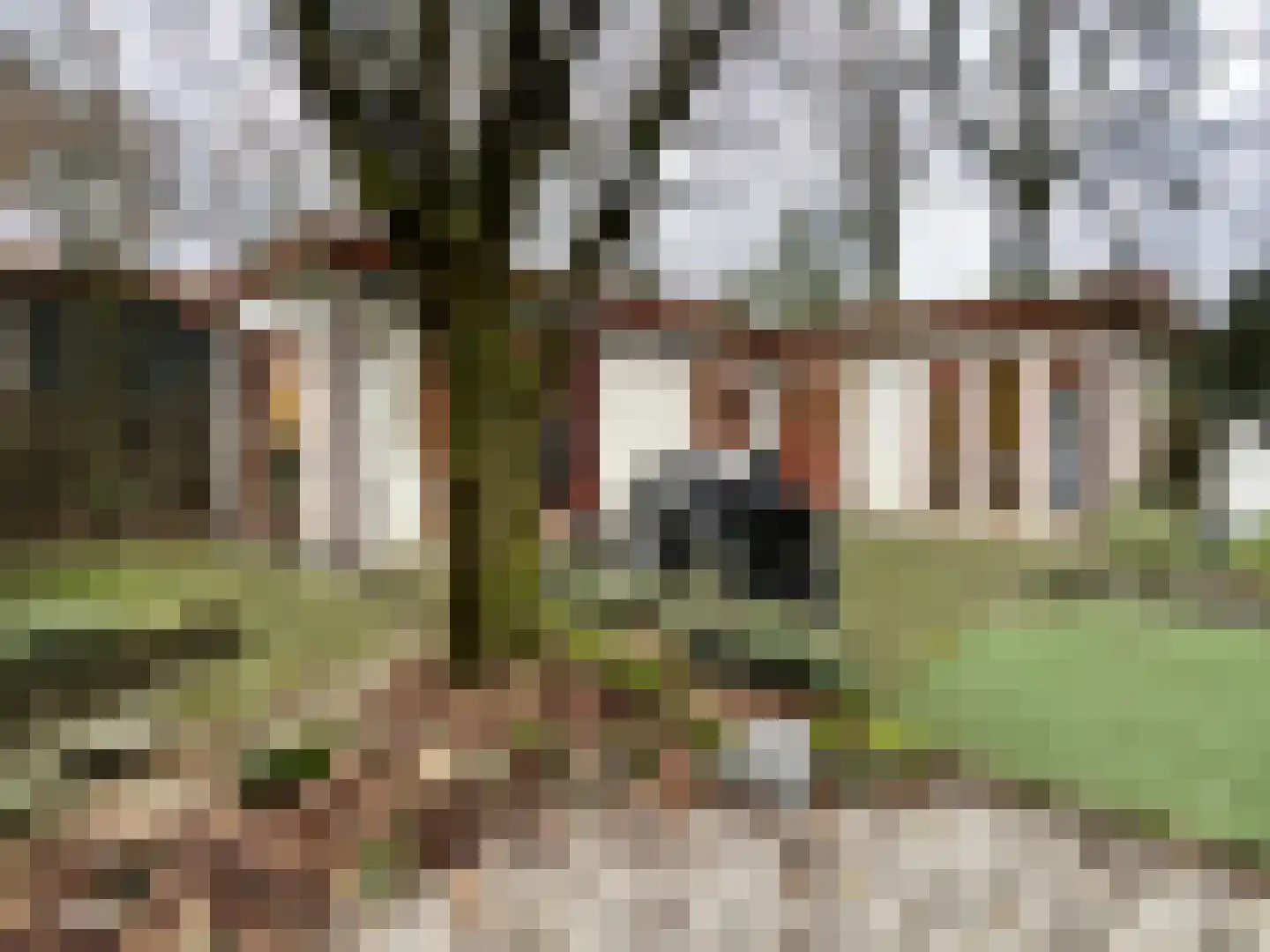 Poolseweg 27 114 Putten thumbnail 17