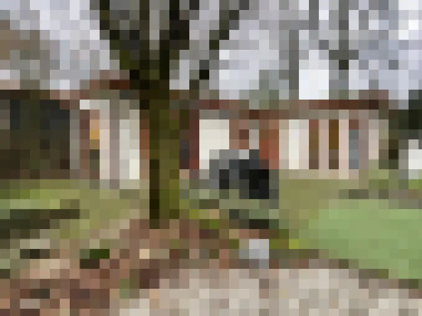 Poolseweg 27 114 Putten thumbnail 17