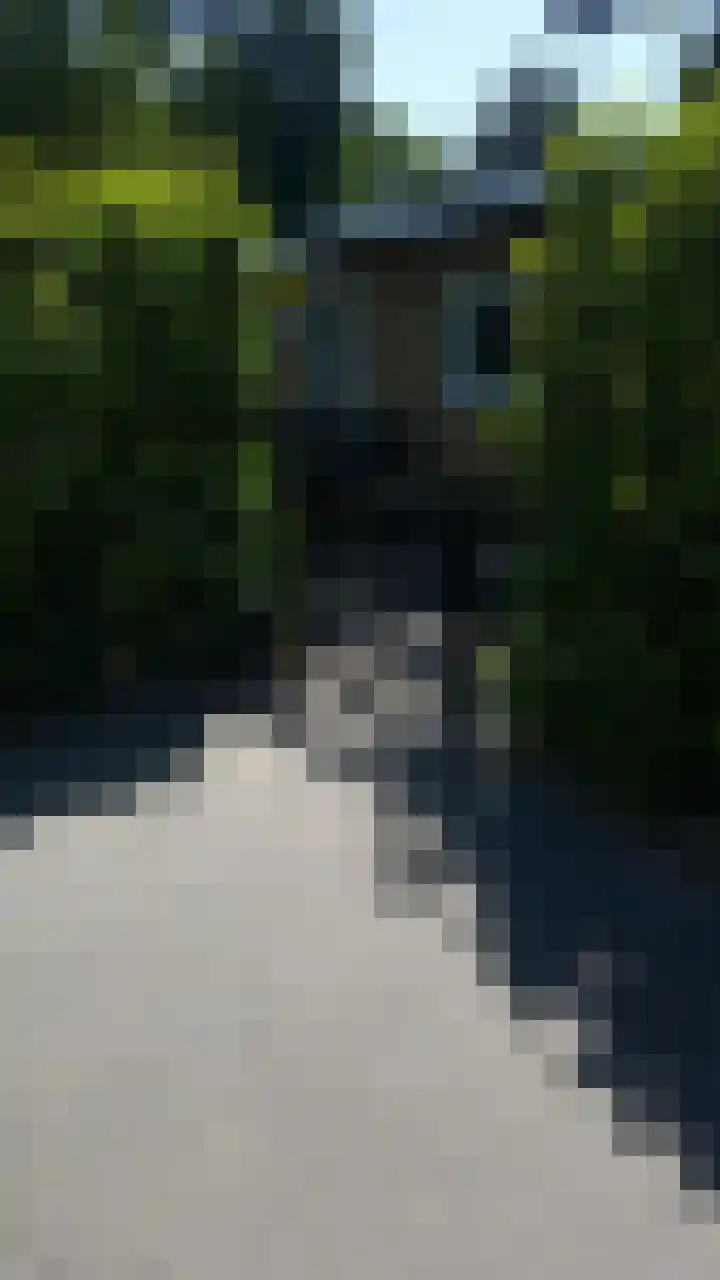 Poolseweg 27 119 Putten thumbnail 17