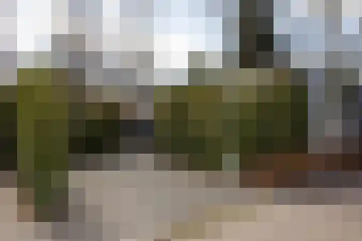Poolseweg 27 119 Putten thumbnail 18